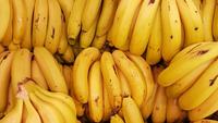 Bananas. Photo by Rodrigo dos Reis on Unsplash